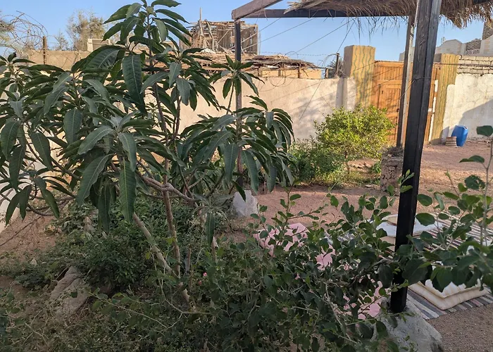 Privatunterkunft Single With Shared Bathroom - House Of Ra *